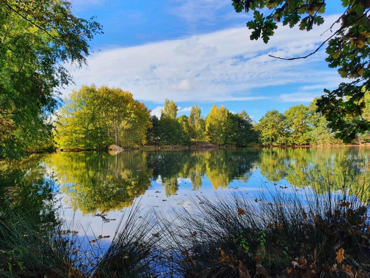 Ferienwohnung Am See Dillich - Eigener Garten - Ruhige Lage - Natur Vor Der Haustuer Borken (Hessen) Exterior foto