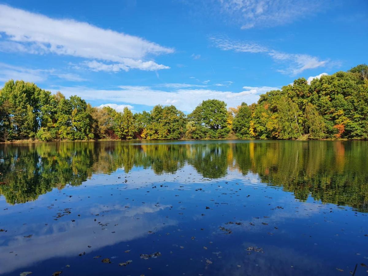 Ferienwohnung Am See Dillich - Eigener Garten - Ruhige Lage - Natur Vor Der Haustuer Borken (Hessen) Exterior foto
