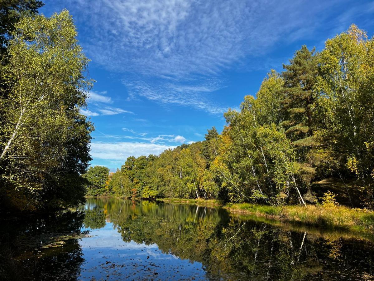 Ferienwohnung Am See Dillich - Eigener Garten - Ruhige Lage - Natur Vor Der Haustuer Borken (Hessen) Exterior foto