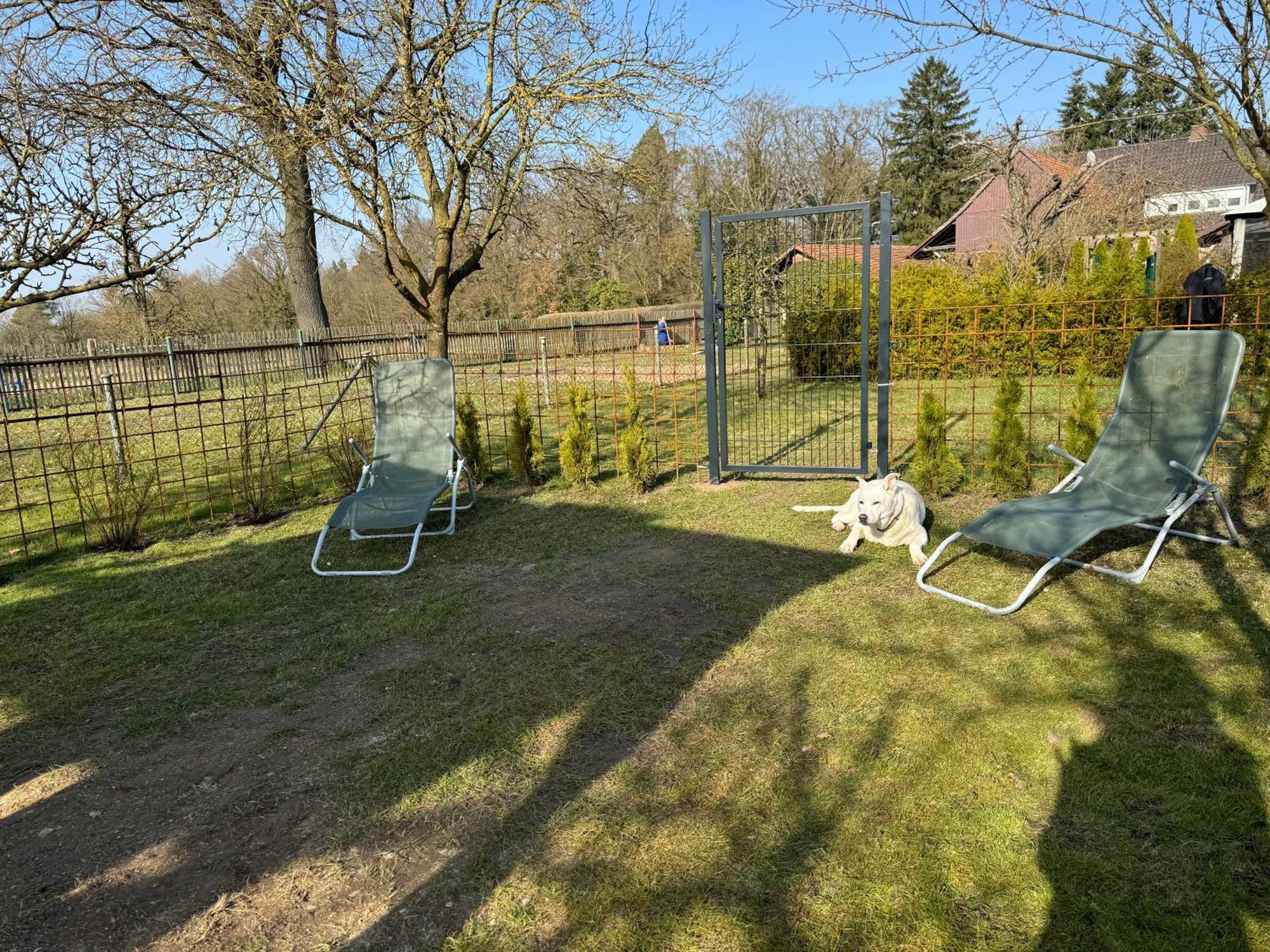 Ferienwohnung Am See Dillich - Eigener Garten - Ruhige Lage - Natur Vor Der Haustuer Borken (Hessen) Exterior foto